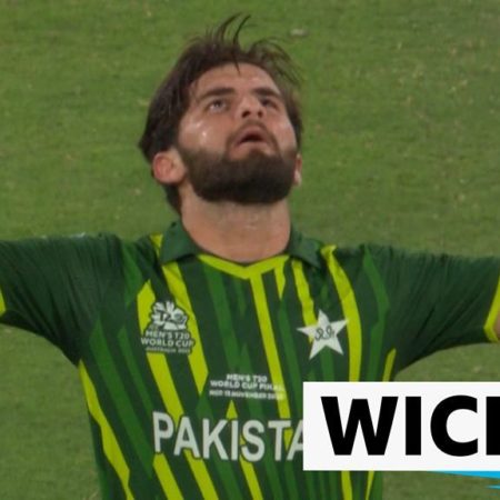 T20 World Cup: Shaheen Afridi bowls Alex Hales for one with brilliant yorker