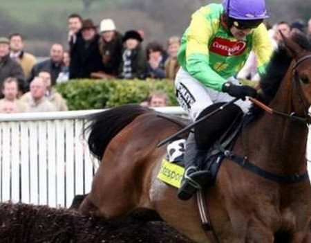 Kauto Star retirement talk is premature, says Paul Nicholls