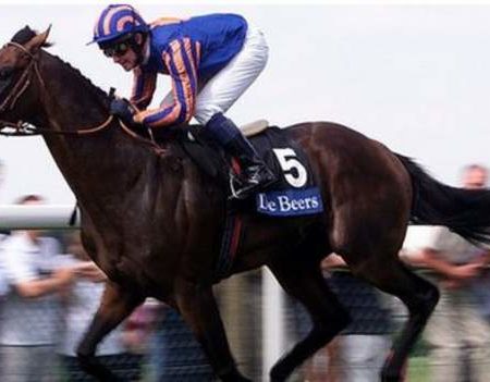 Top stallion Montjeu dies aged 16