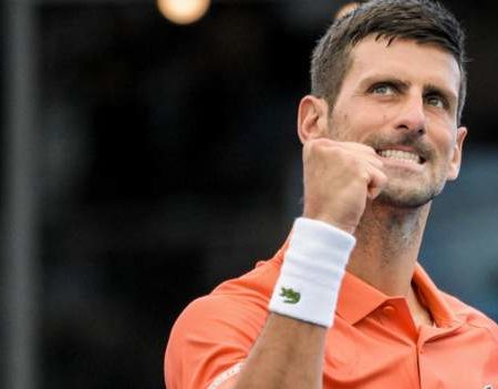 Novak Djokovic into Adelaide International last eight with win over Quentin Halys