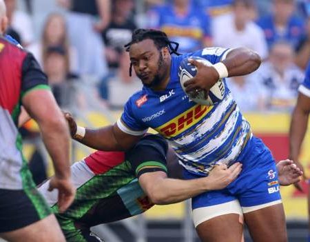 Heineken Champions Cup: Stormers 32-28 Harlequins – South African side reach last eight