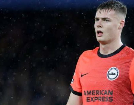 Evan Ferguson: How Brighton teenager became Republic of Ireland’s ‘great hope’