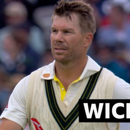 The Ashes: David Warner dismissed lbw by Josh Tongue at Lord's