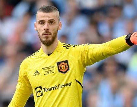 David de Gea: Manchester United goalkeeper set to become free agent