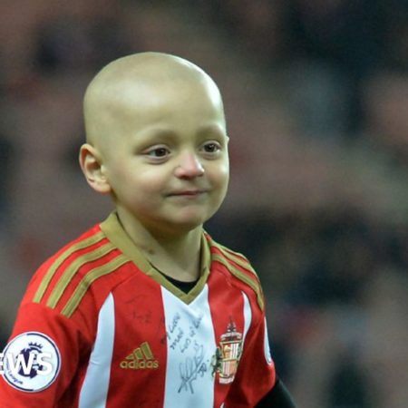 Bradley Lowery: Man pleads guilty to taunting fans