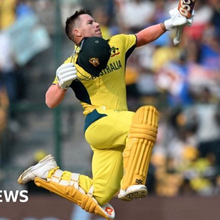 Australia veteran David Warner retires from ODI cricket