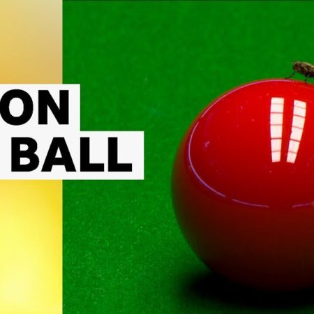 Buzz off! Fly interrupts play at snooker Masters