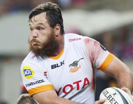 Scarlets sign Cheetahs hooker Marnus van der Merwe for next season