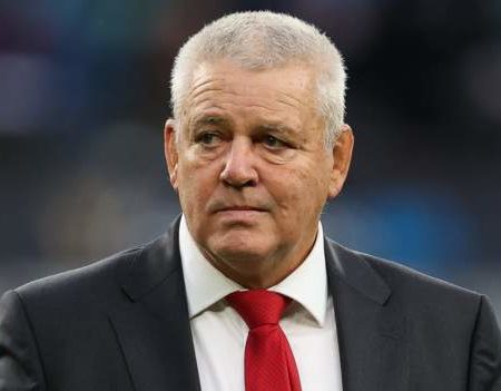 Warren Gatland: Wales head coach says regional comments were not critical of Welsh coaches