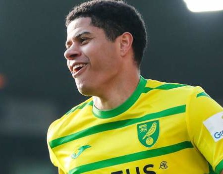 Norwich City 5-0 Rotherham United: Canaries move into play-off places with crushing win over bottom side