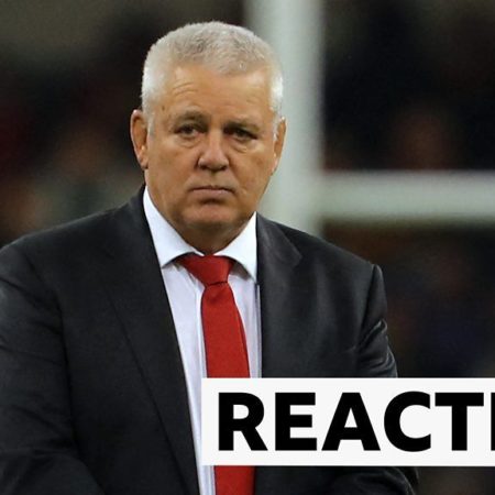 Wales caused problems for France – Gatland