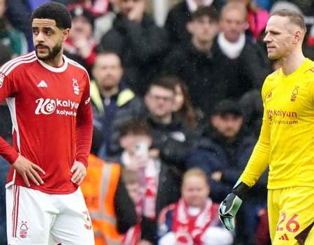 Brighton 1-0 Nottingham Forest: Andrew Omobamidele own goal gifts Seagulls victory